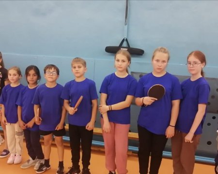 ���������� ������������-���������� ����������� ����� ������ � ������� 2008 �.�. � ������ ������������� ���� � ���������� �������