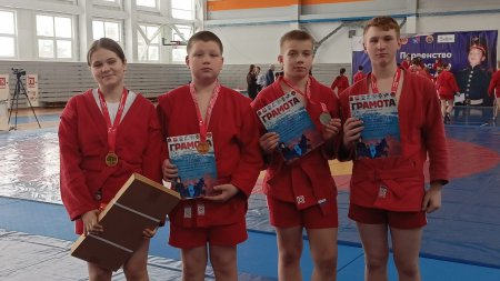 ���������� ������������� ���� �� ����� ����� ������ � ������� 2010-2011 �.�.