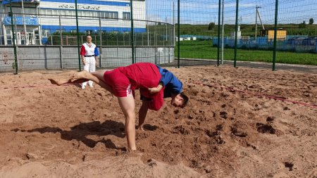 �������� ������ �� �������� �����, ����� ������ 2009-2011, 2012-2014 �.�.