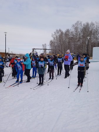 �������������� ���������� �����