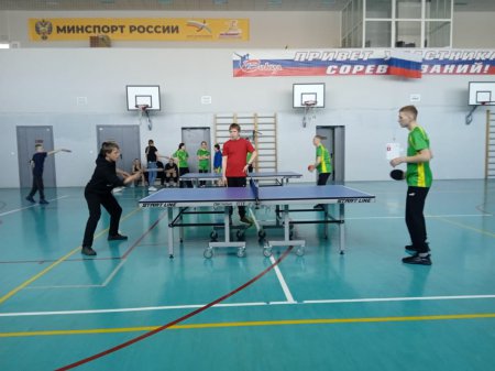 ������������� ���������� ����