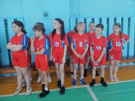 ������������� ���������� ����